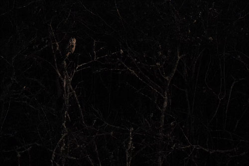 Wallonie Sauvage.jpg