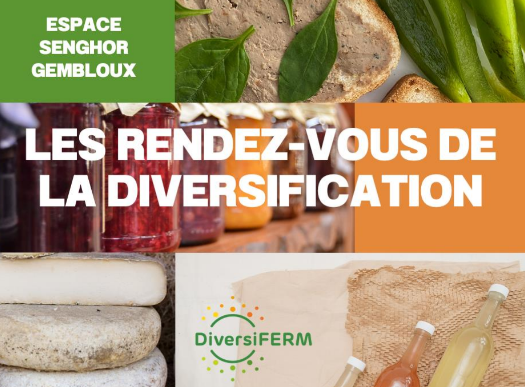Affiche Rendez-vous de la Diversification 2024