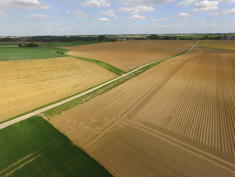 Actualité: Nouvelle obligation BCAE 5 : Protection des sols contre l’érosion