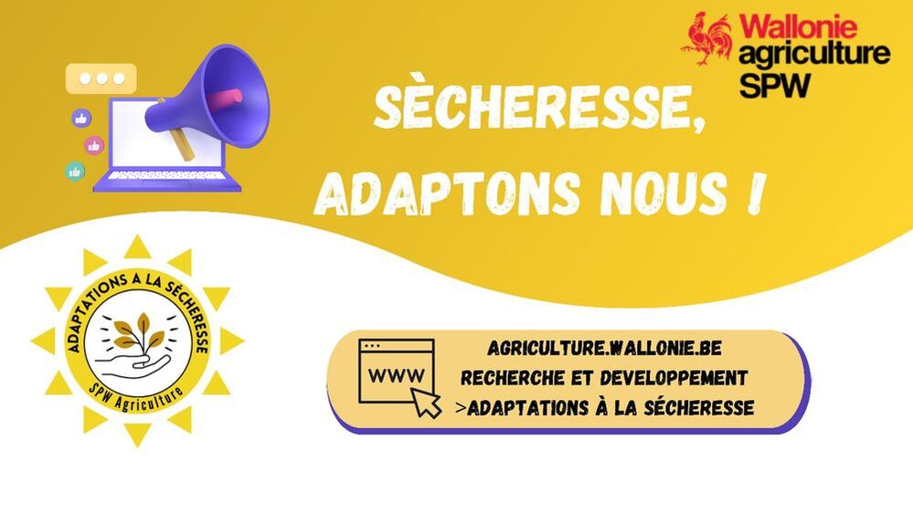 Le SPW-ARNE propose des pistes d’adaptations à la sécheresse