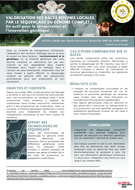 image article valorisation des races locales.png