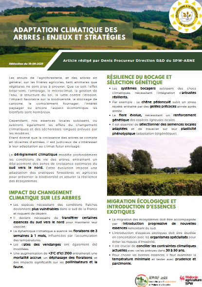 adaptation climatique des arbres.png