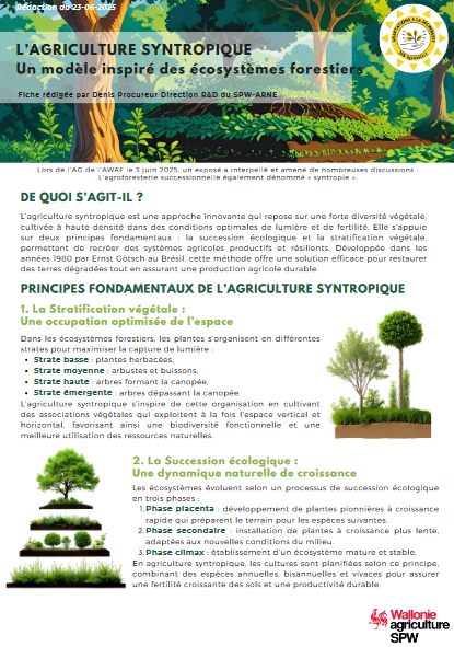 agriculture syntropique.png