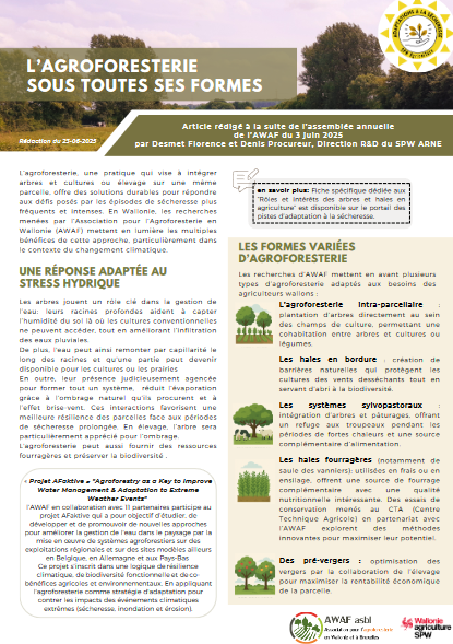 agroforesterie sous divers formes.png