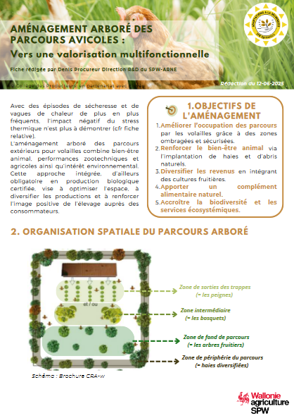 parcours volaille.png