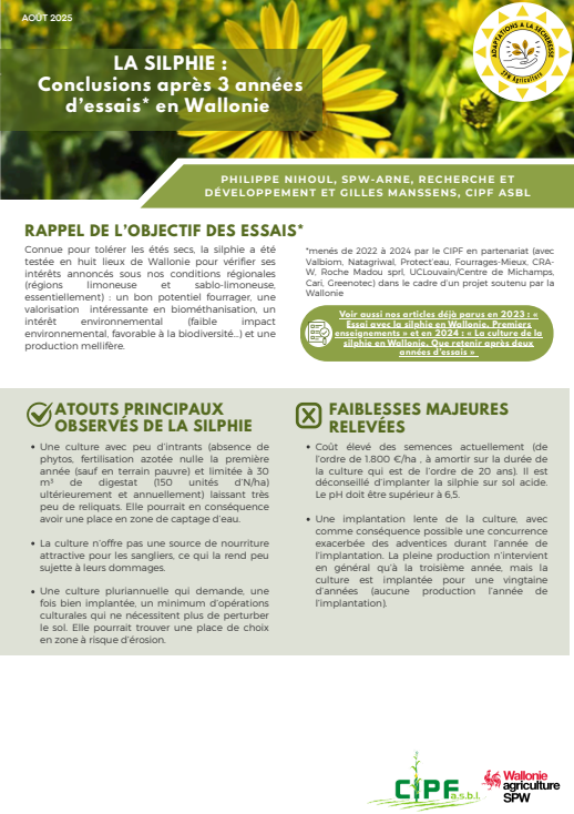 image article siplhie 3 ans essais.png