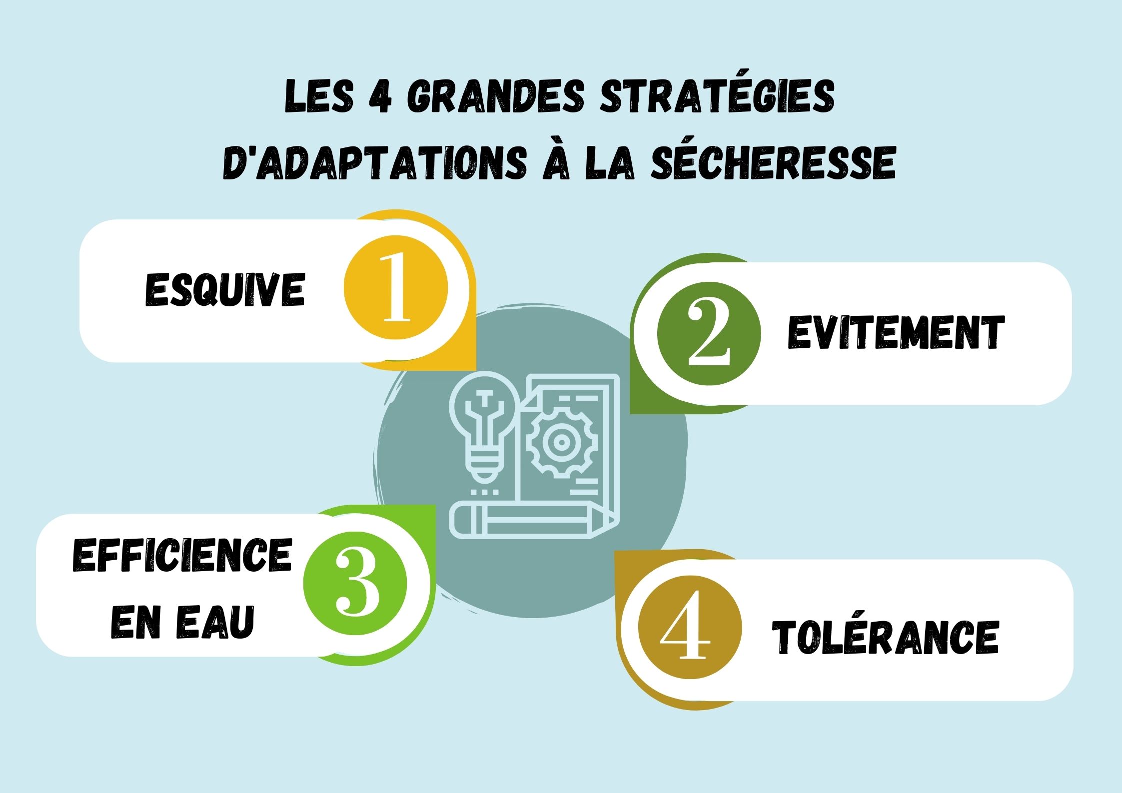 illustration Sécheresse site.jpg