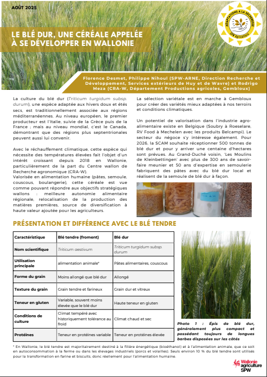 image article ble dur.png