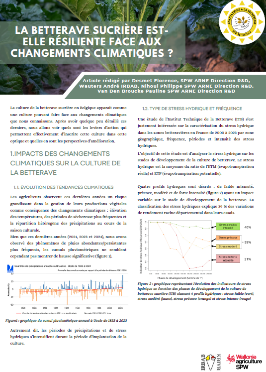 photo article betterave sucrire resilente.png