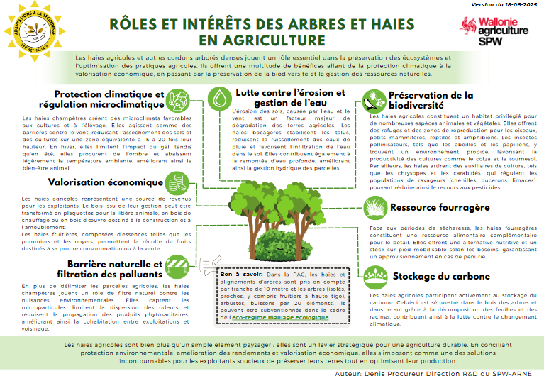 role et interet des arbres.png