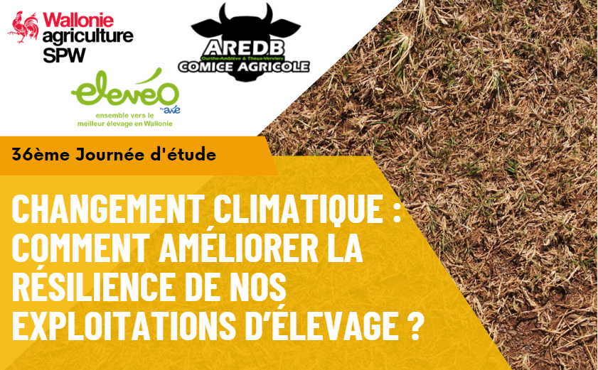 Affiche Changement climatique : comment améliorer la résilience de nos exploitations d’élevage ?