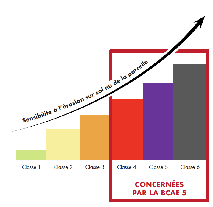graphe des classe de sensibilité .png